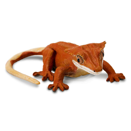 Safari Ltd - Ögonfransgecko
