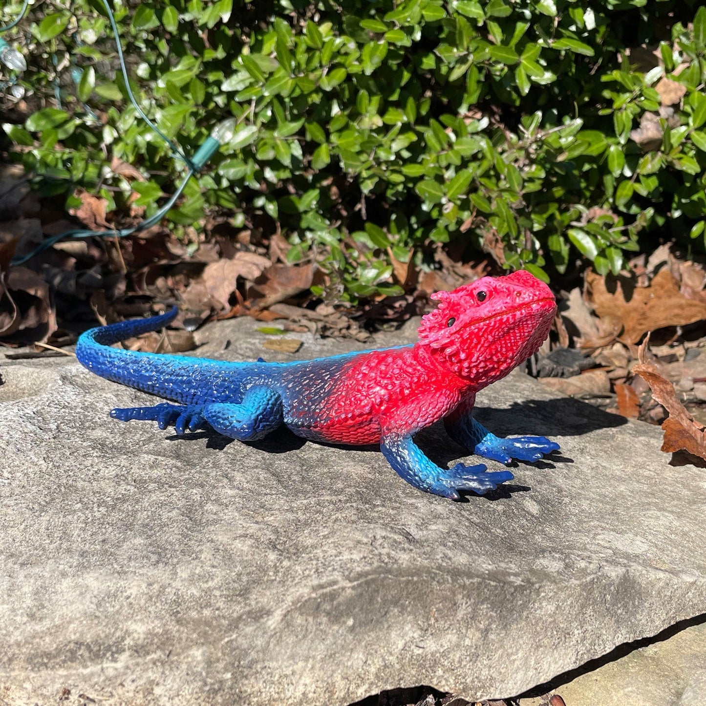 Safari Ltd - Mwanza Flat-Headed Rock Agama