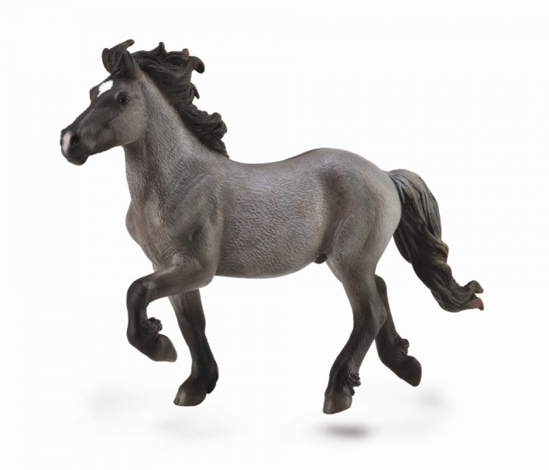 CollectA - Islandshäst musblack hingst