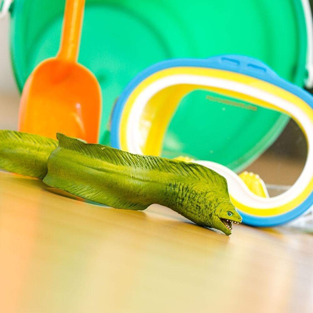 Safari Ltd - Moray Eel