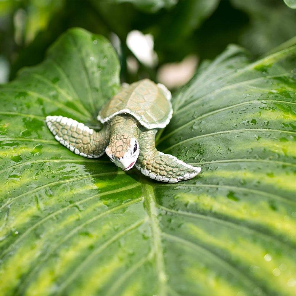 Safari Ltd - Atlantisk bastardsköldpadda unge