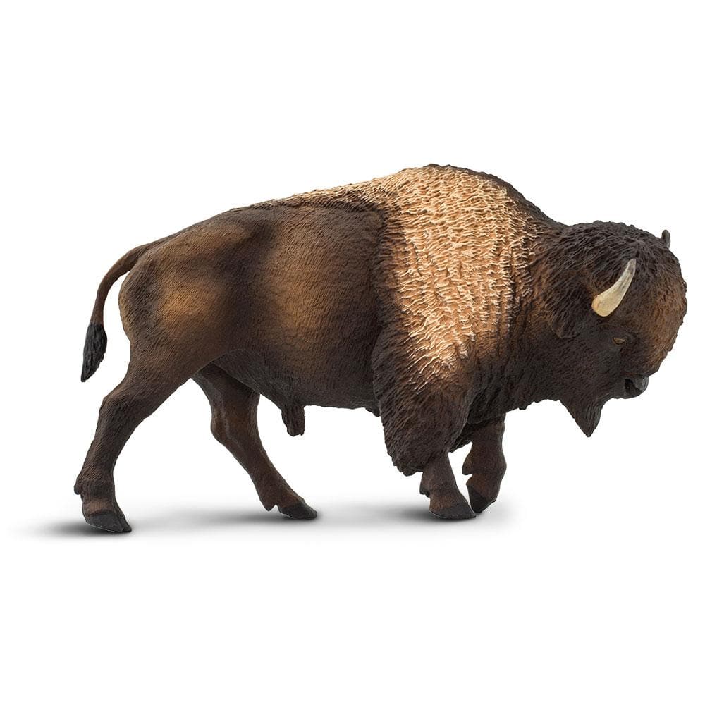 Safari Ltd - Bison