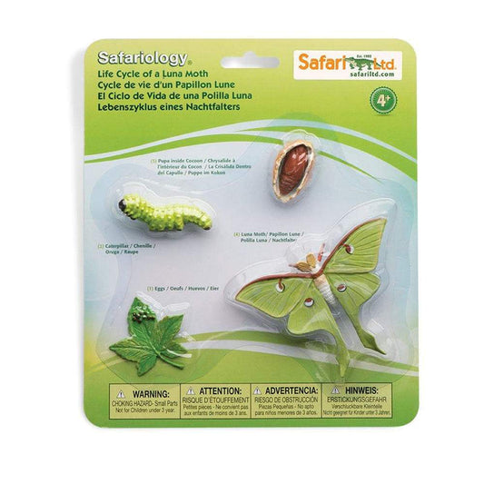 Safari Ltd -  Livscykel av en Månspinnare (Actias luna) Safariology®
