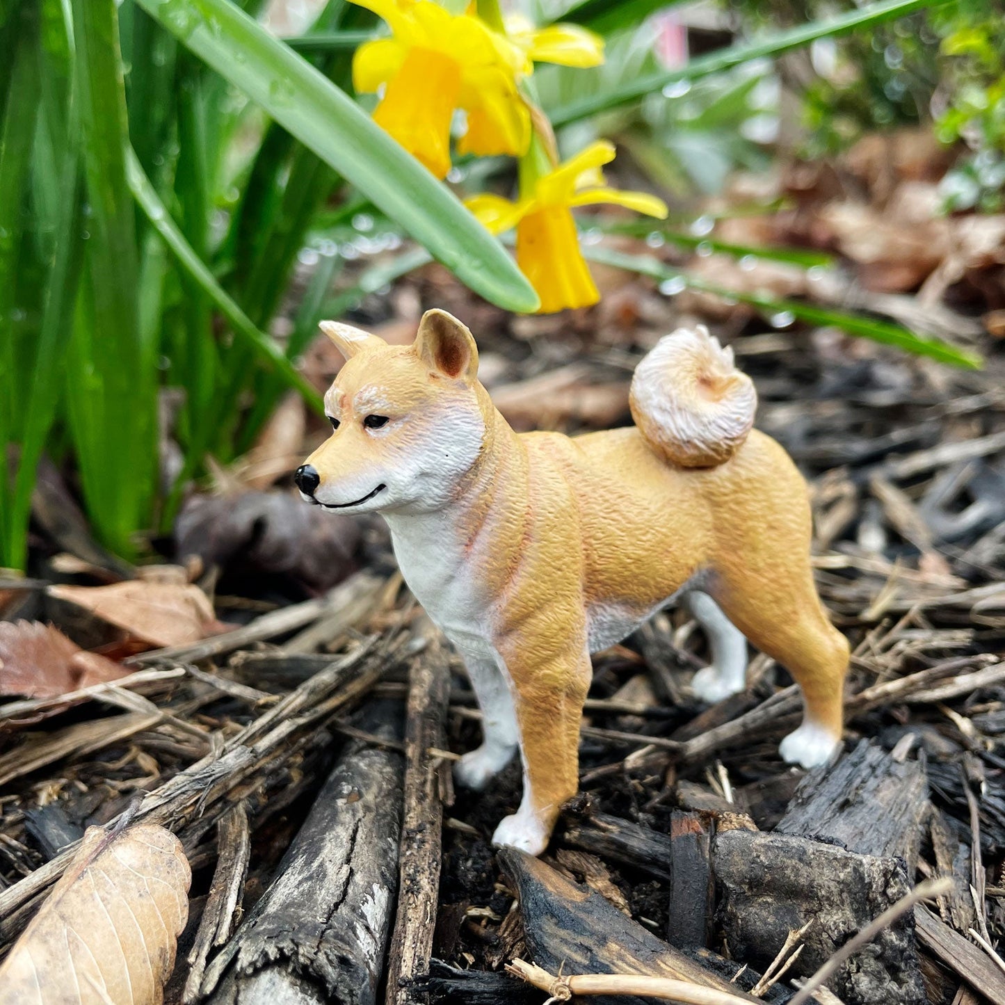 Safari Ltd - Shiba Inu