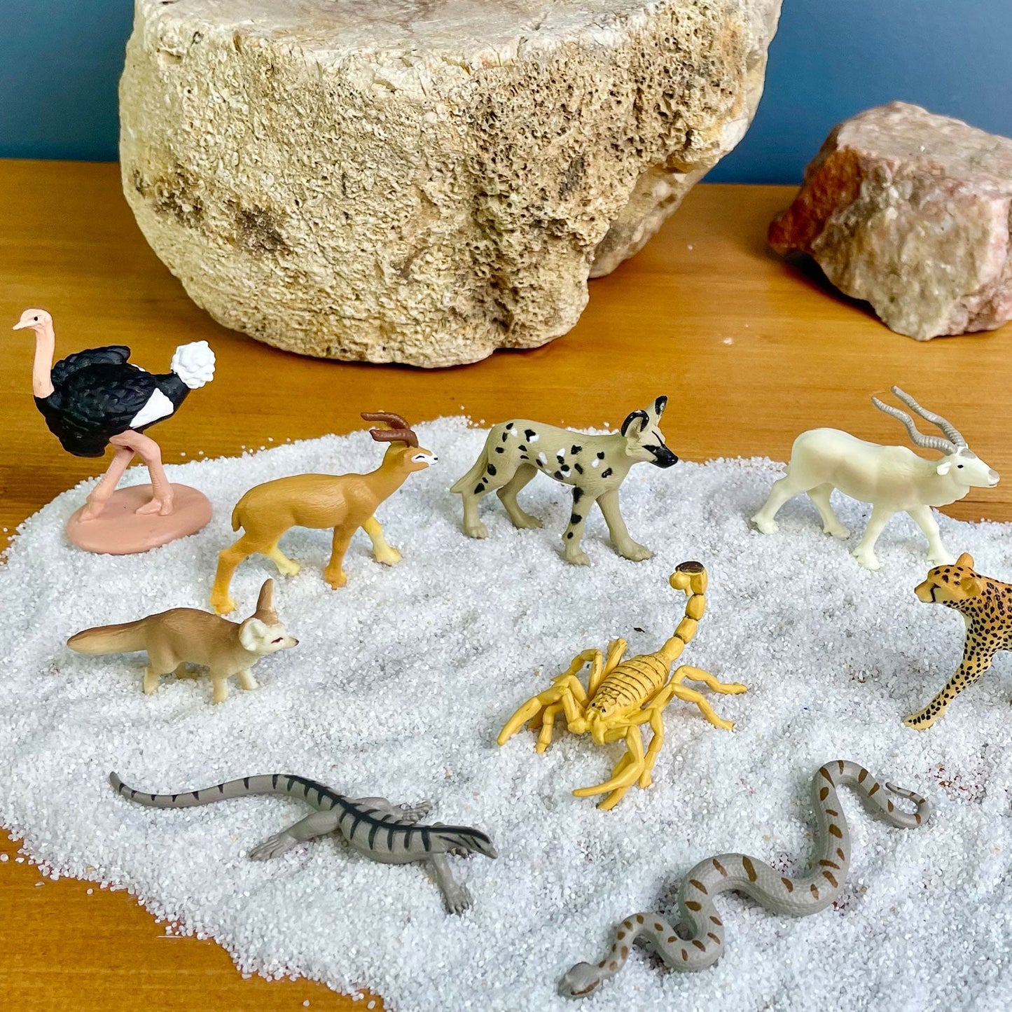 Safari Ltd - Sahara Desert Animals TOOB®