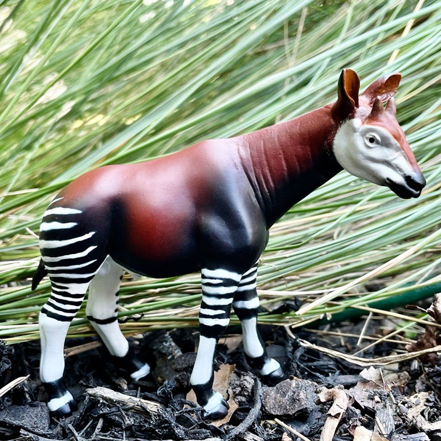 Safari Ltd - Okapi (male)
