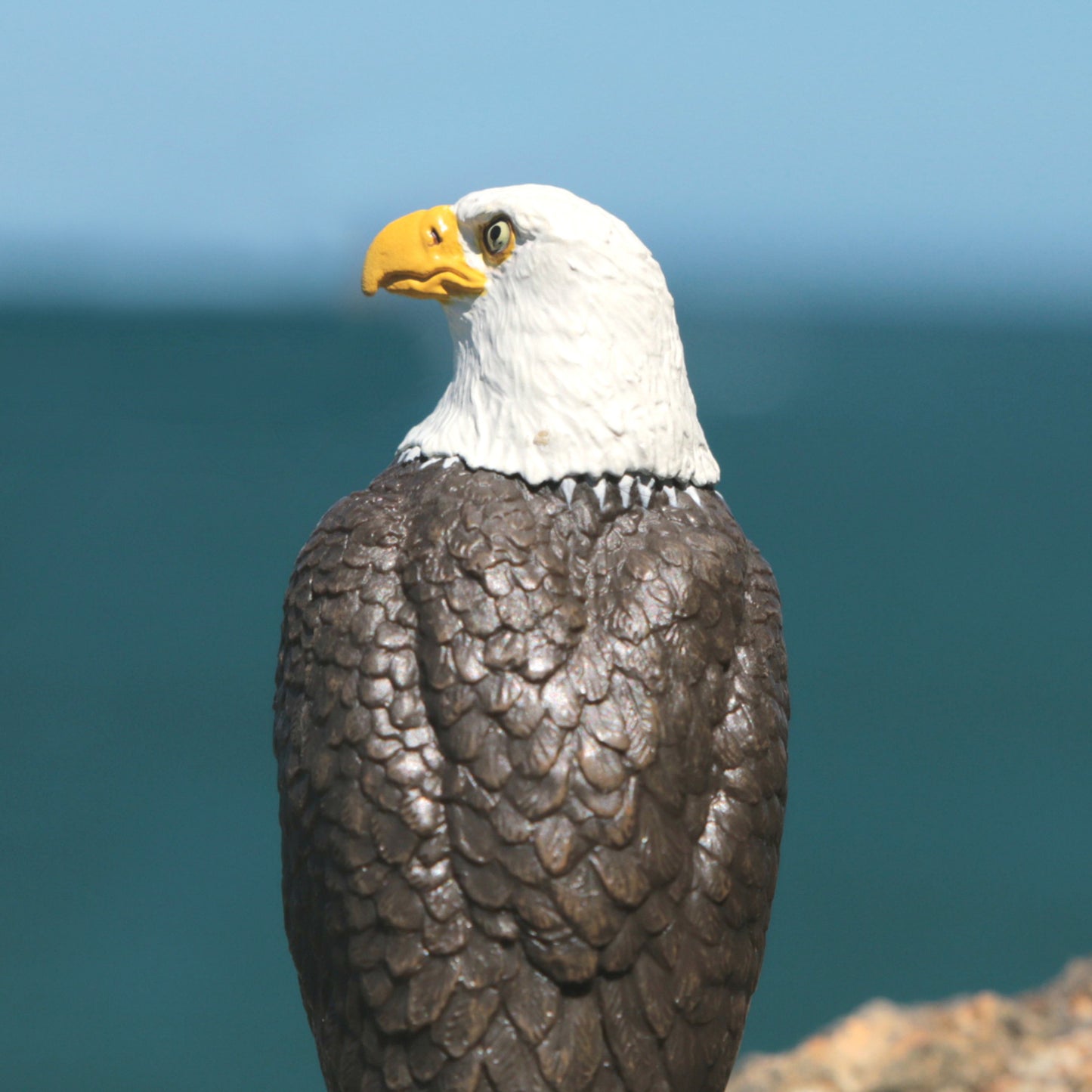 Papo - Vithövdad havsörn sittande