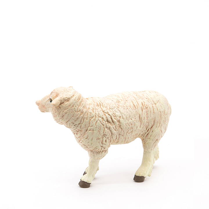Papo - Merino får (tacka)