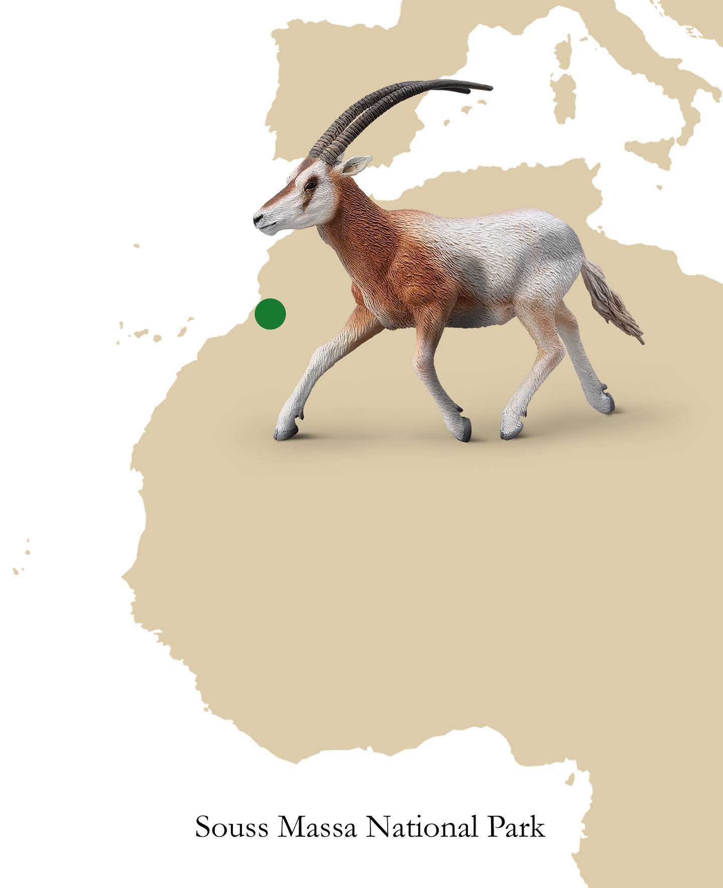 CollectA - Sabeloryx