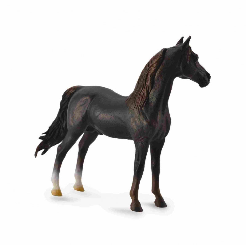 CollectA - Morganhäst fux hingst