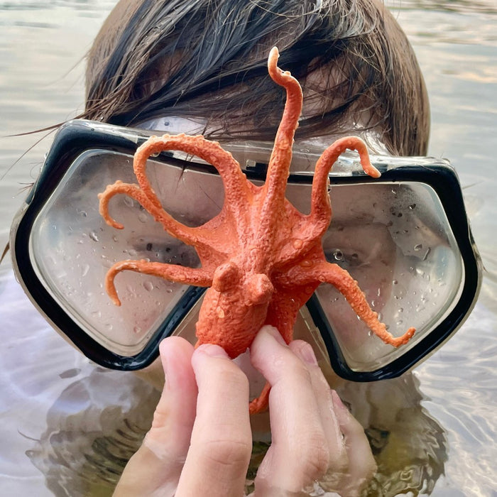 Safari Ltd - Octopus