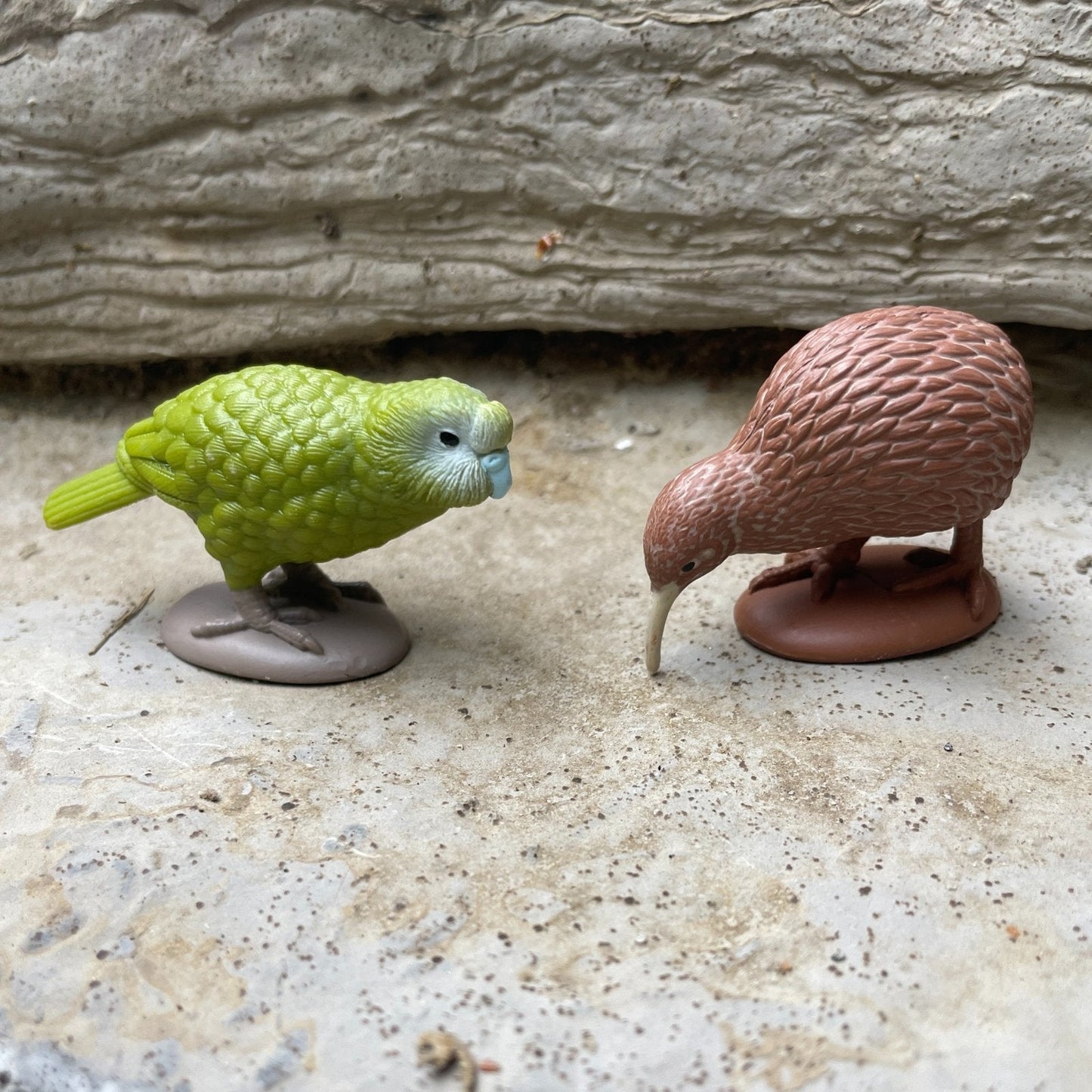 Safari Ltd - Australian Continent TOOB®