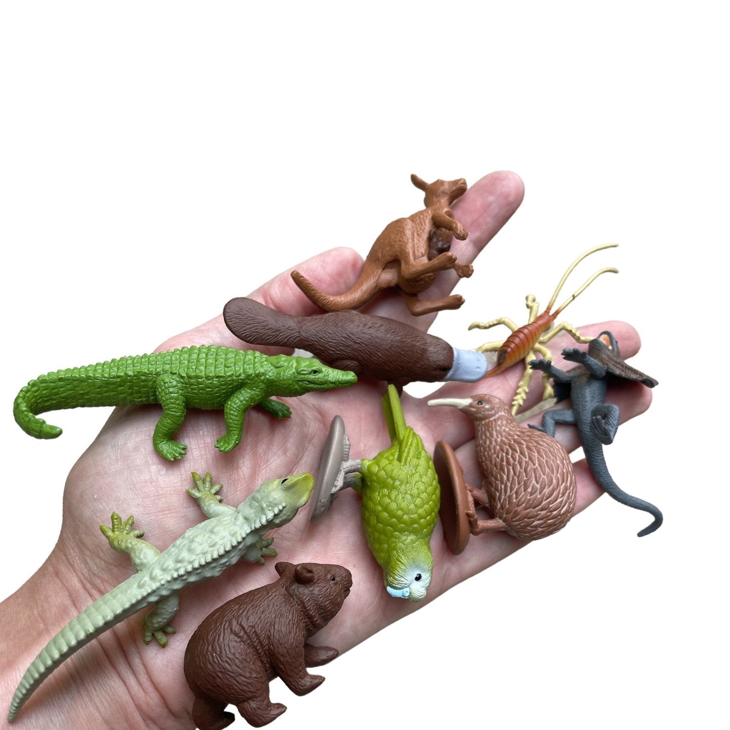 Safari Ltd - Australian Continent TOOB®