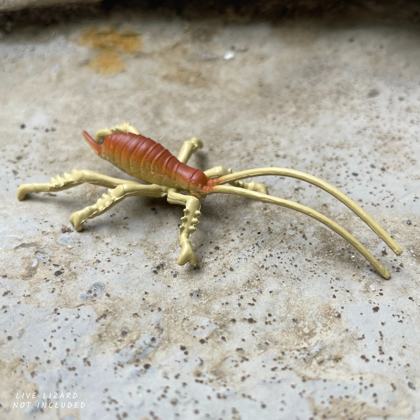 Safari Ltd - Australian Continent TOOB®