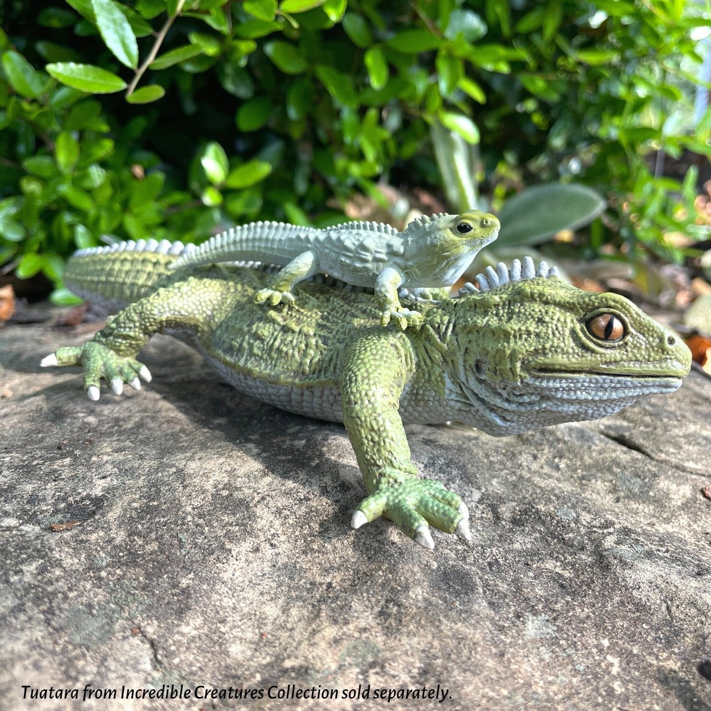 Safari Ltd - Australian Continent TOOB®