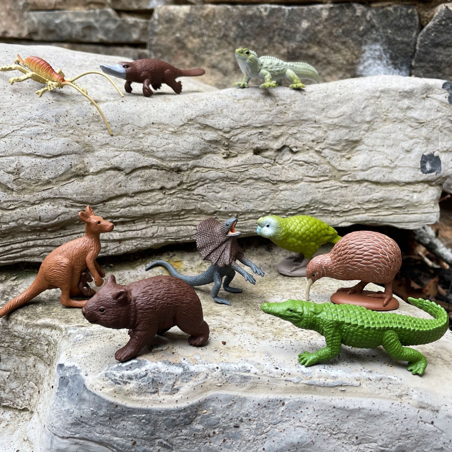 Safari Ltd - Australian Continent TOOB®