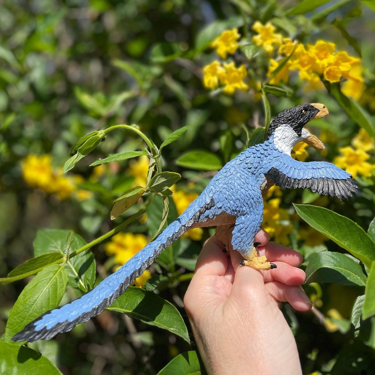 Safari Ltd - Utahraptor