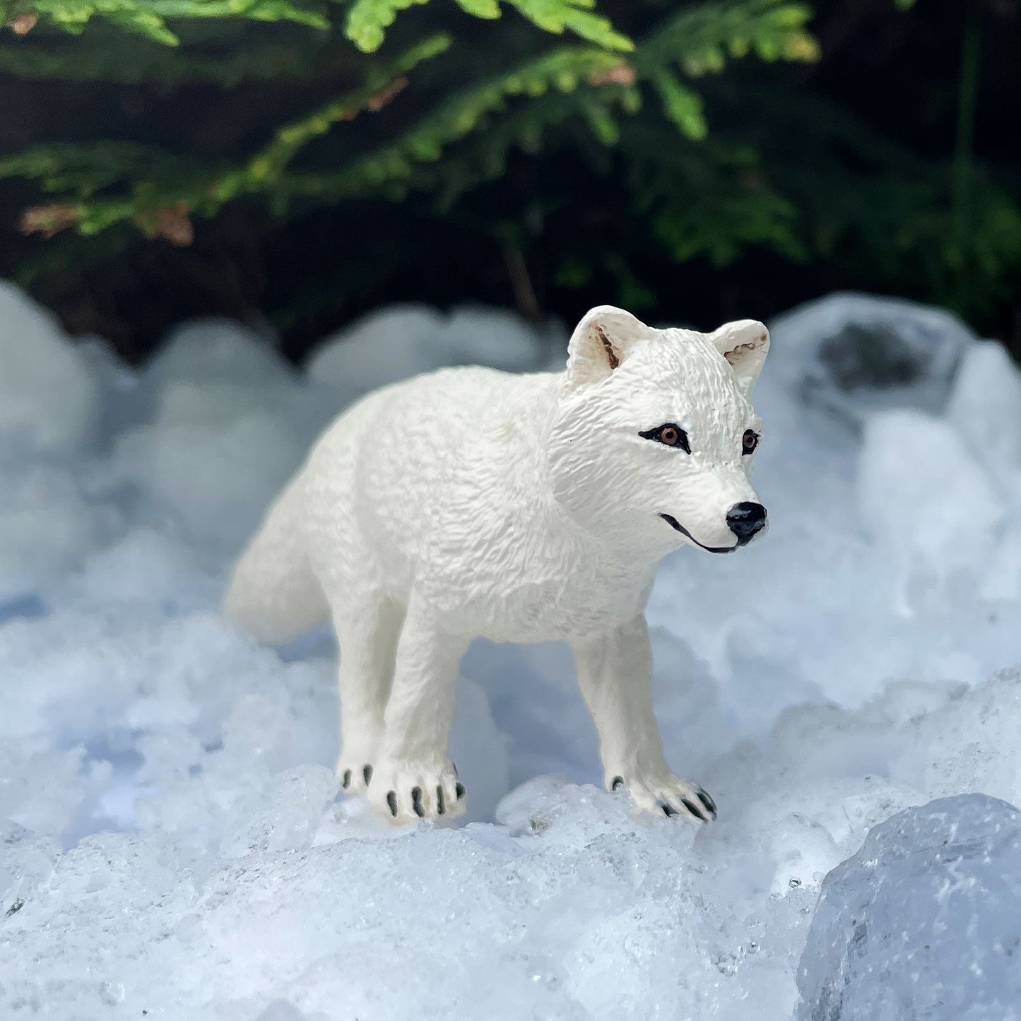 Safari Ltd - Arctic Fox
