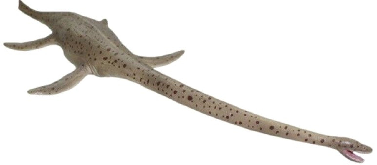 CollectA - Thalassomedon - Deluxe - Skala 1:40