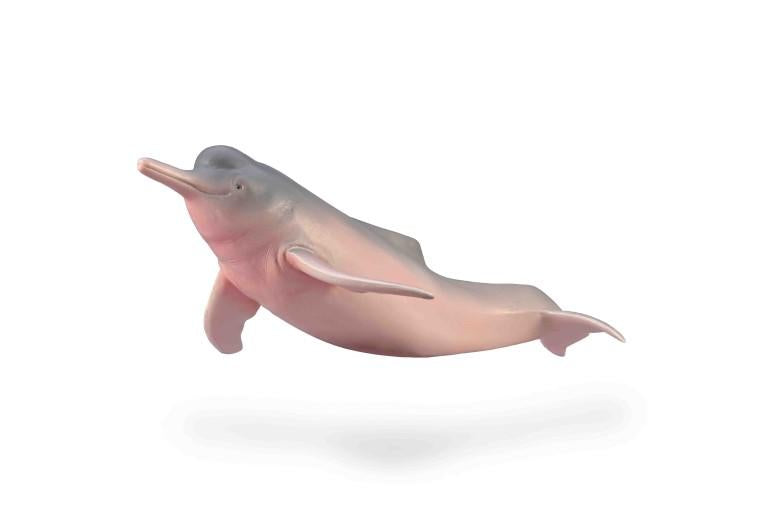 CollectA - Amazondelfin