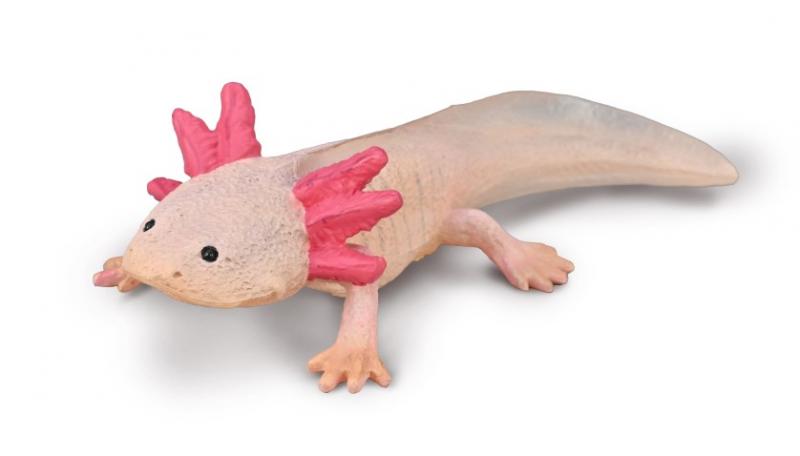 CollectA - Axolotl
