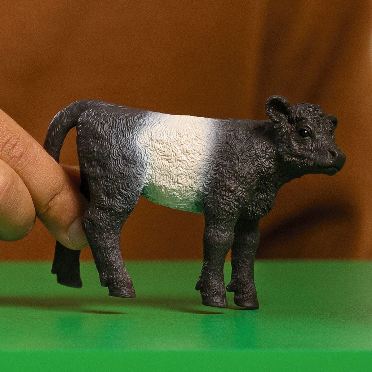 Schleich - Galloway, kalv