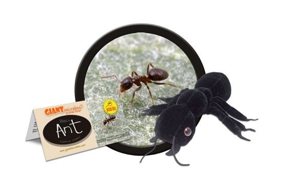 GIANTmicrobes - Black Ant (Lasius Niger) - Svartmyra