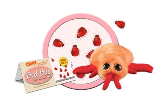 GIANTmicrobes - Bed Bug (Cimex Lectularius) - Vägglus