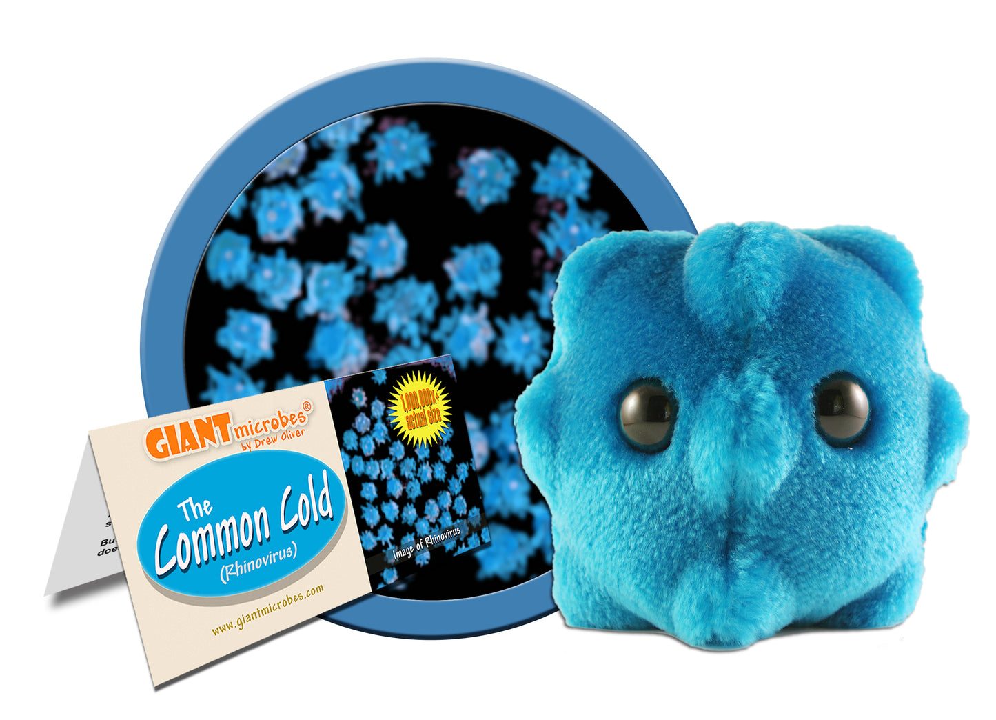 GIANTmicrobes - Förkylningsvirus (Common Cold / Rhinovirus)