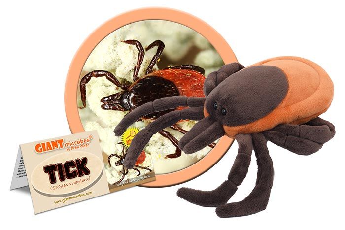 GIANTmicrobes – Fästing (Ixodes Scapularis)