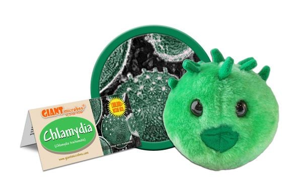 GIANTmicrobes - Chlamydia (Chlamydia Trachomatis) - Klamydia
