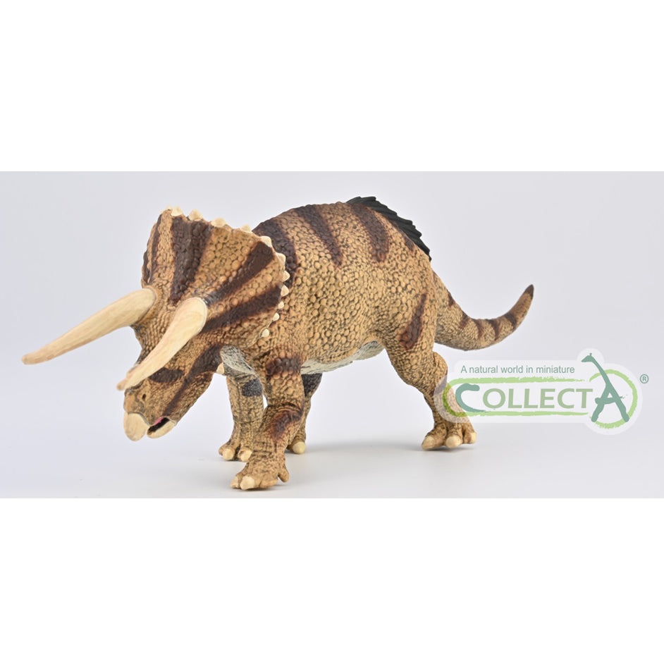 CollectA - Triceratops Horridus (konfrontation)