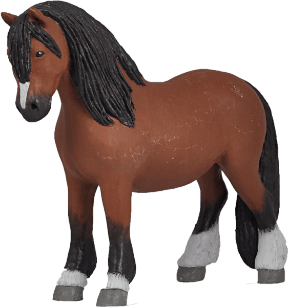 Erkers Marie Persson - Silas