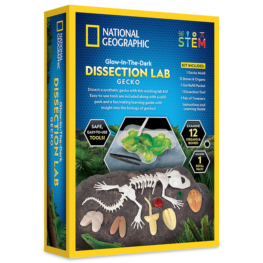 National Geographic - Gecko Dissektionslabb