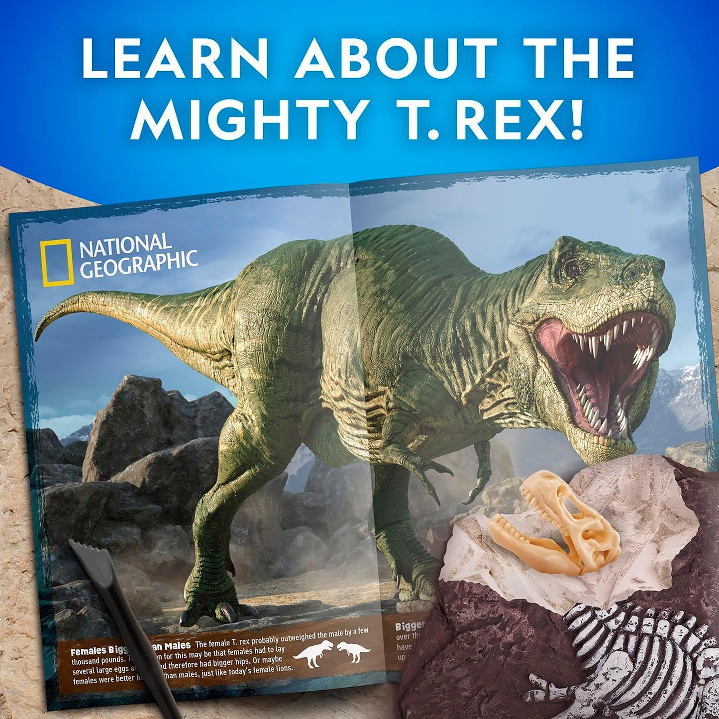 National Geographic - Tyrannosaurus Rex Dig Kit