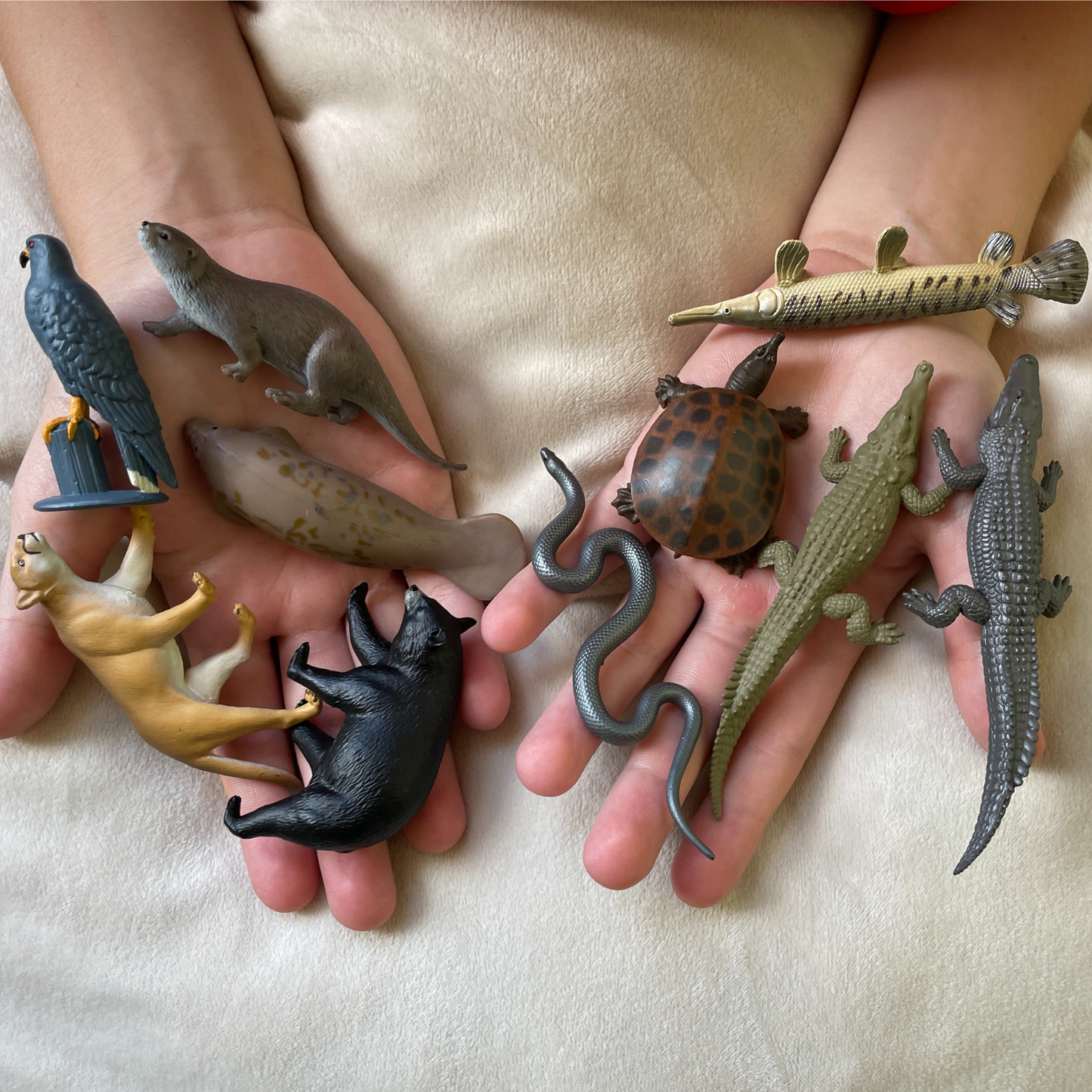 Safari Ltd - Everglades TOOB®