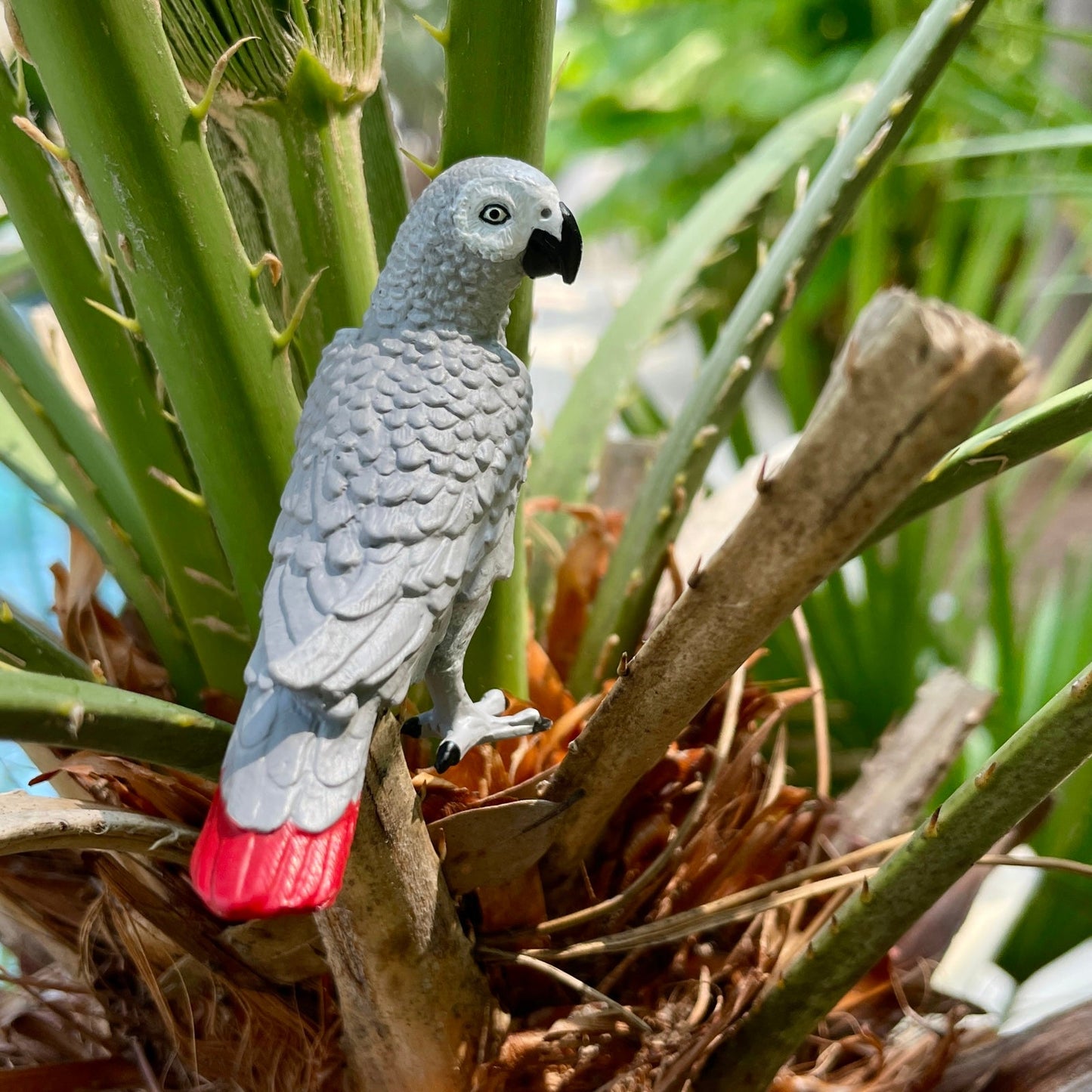 Safari Ltd - African Gray Parrot