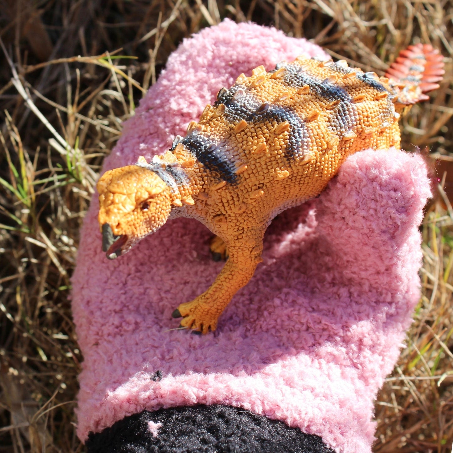 Safari Ltd - Stegouros