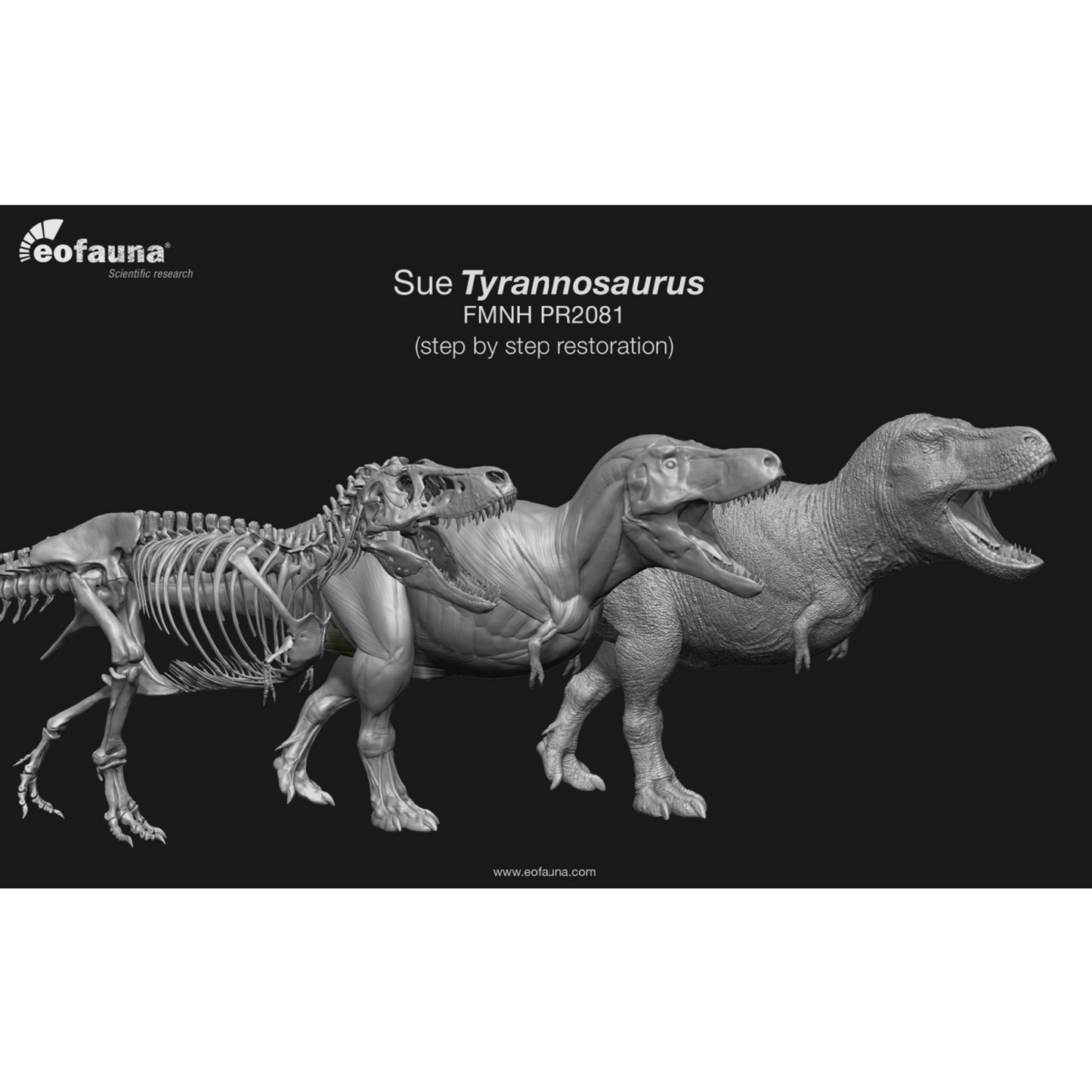 Eofauna - Tyrannosaurus Sue