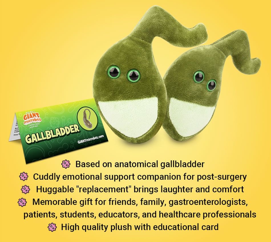 GIANTmicrobes - Gallblåsa