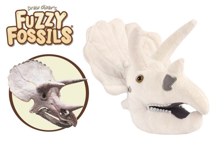 Fuzzy Fossils - Triceratops skalle