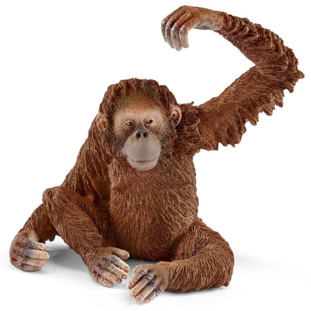 Schleich - Orangutang, hona