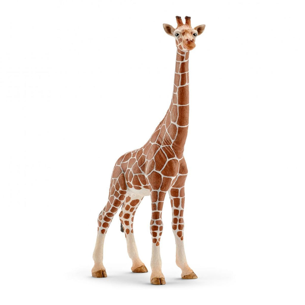 Schleich - Giraff, hona
