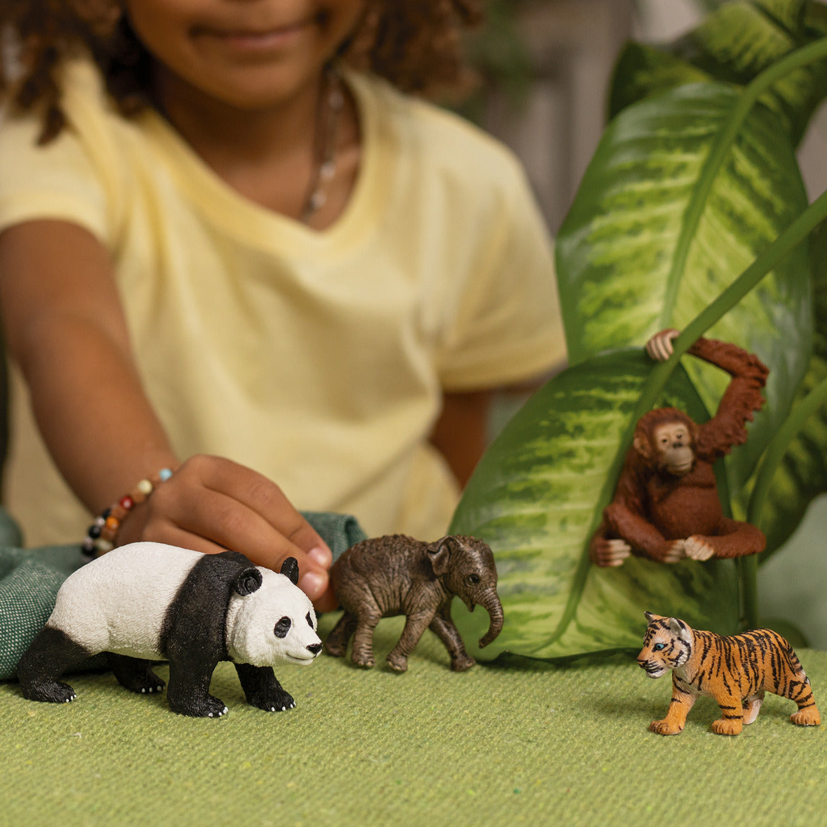 Schleich - Wild Life Asien Startset