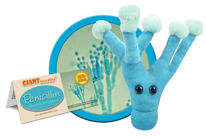 GIANTmicrobes - Penicillin (Penicillium Chrysogenum) Plysch