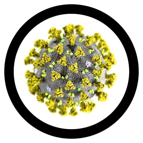 GIANTmicrobes - Coronavirus COVID-19 (SARS-CoV-2)