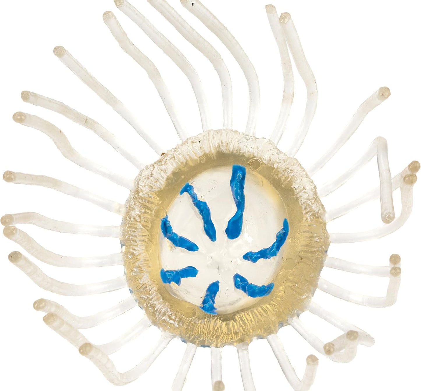 Safari Ltd - Jellyfish