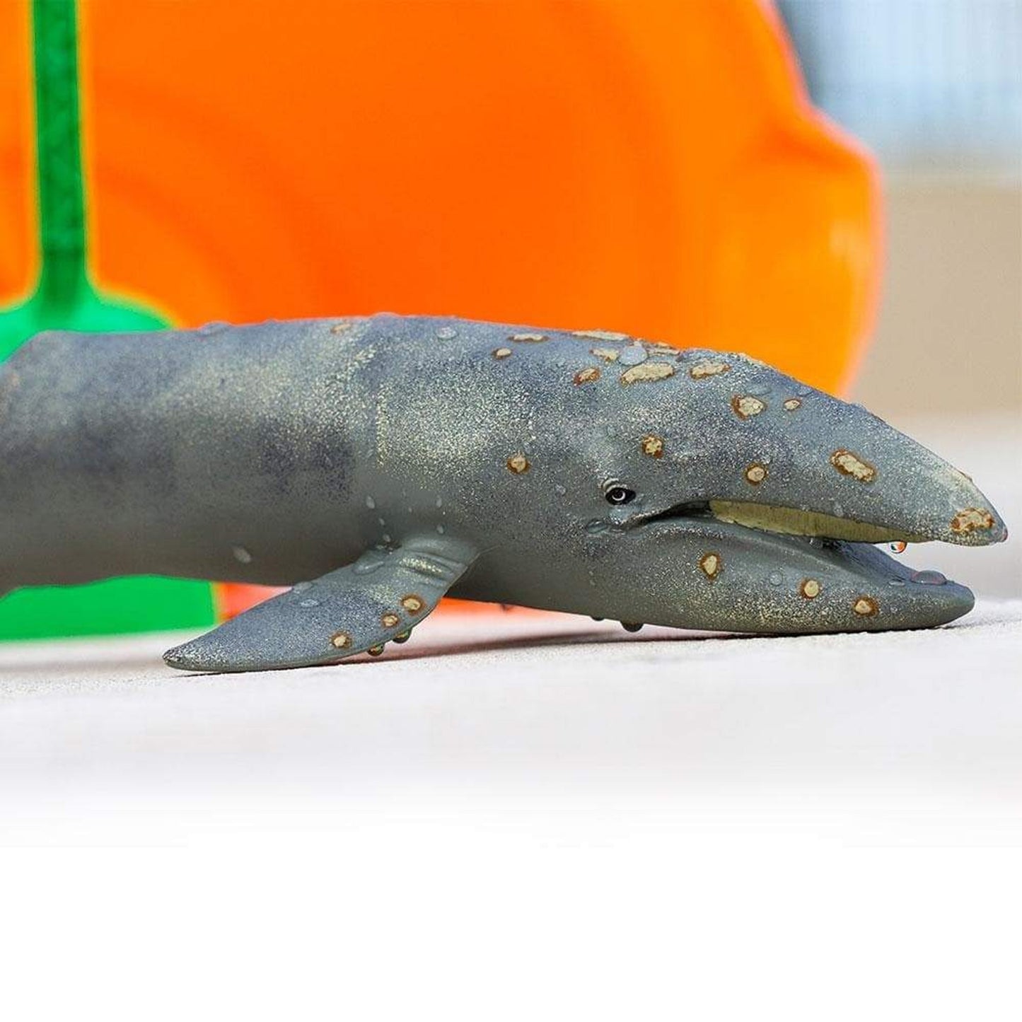 Safari Ltd - Grey Whale Monterey Bay Aquarium