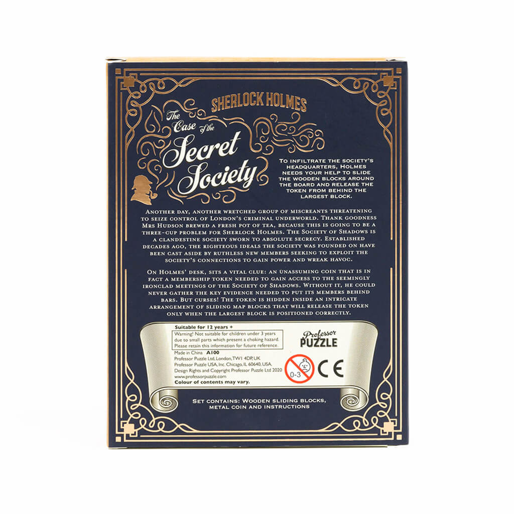 Professor Puzzle - The Case of the Secret Society