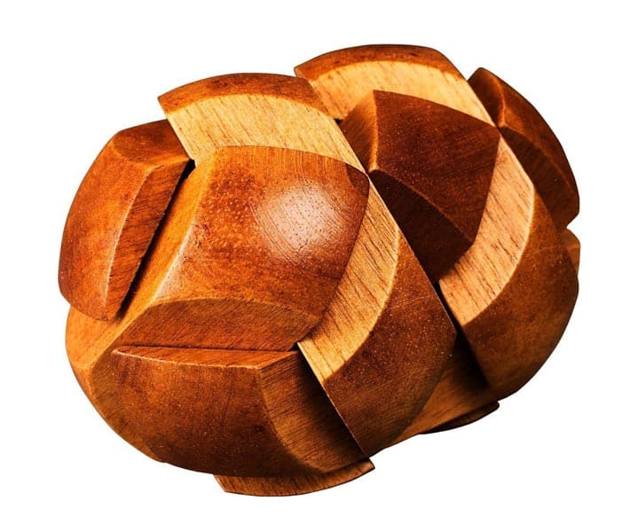 Professor Puzzle - Great Minds: Darwin's Egg of Evolution Pussel